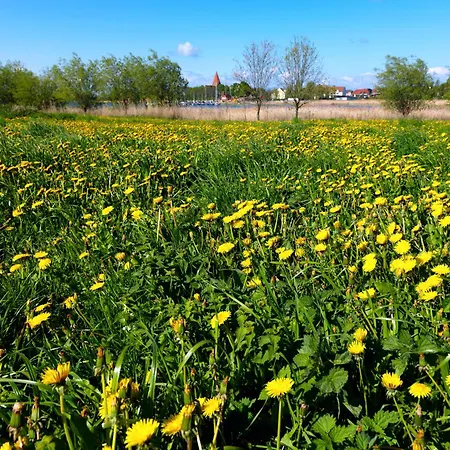 Fh Harmonie * Kaltenhof