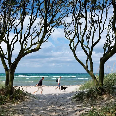 Fh Harmonie Feriehus *